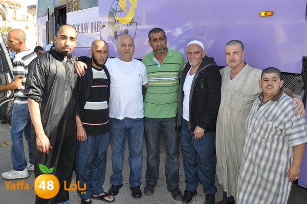 3omraludbacknew442n2 (7).JPG